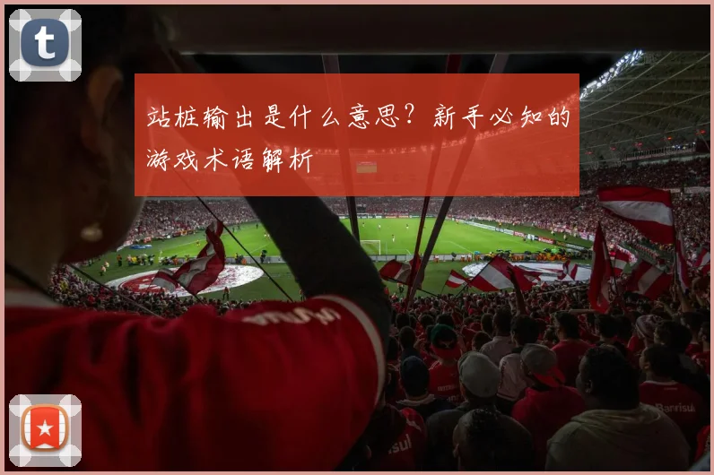 站桩输出是什么意思？新手必知的游戏术语解析