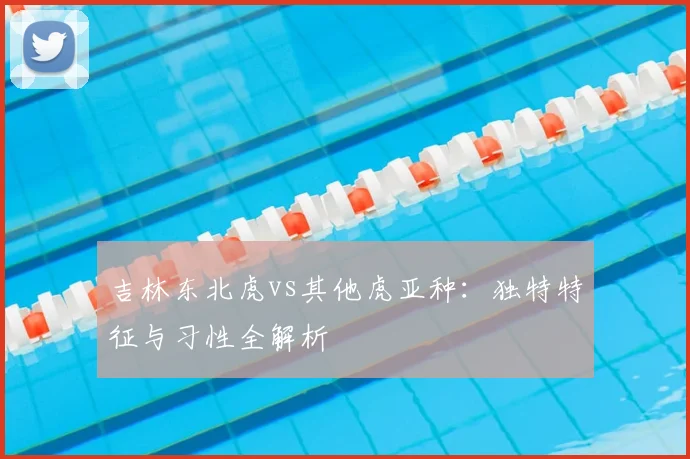 吉林东北虎vs其他虎亚种：独特特征与习性全解析